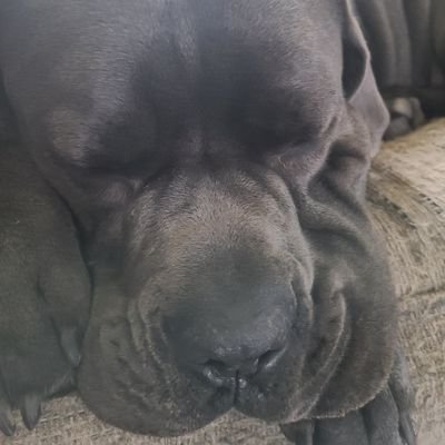 jgrab8228's profile picture. 