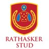 RathaskerStud's profile picture. Thoroughbred Stud Farm 🇮🇪 Home to stallions Bungle Inthejungle, Coulsty & Gregorian