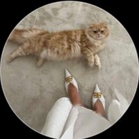 خيَّال (@toiw_9) 's Twitter Profile