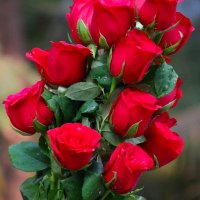 LKC (@lkchouhan46) 's Twitter Profile Photo