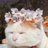 torok3o3's profile image