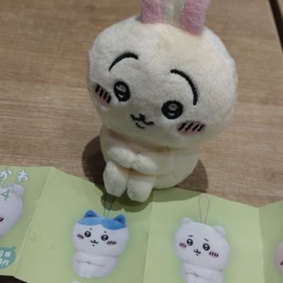 サクさんのプロフィール画像