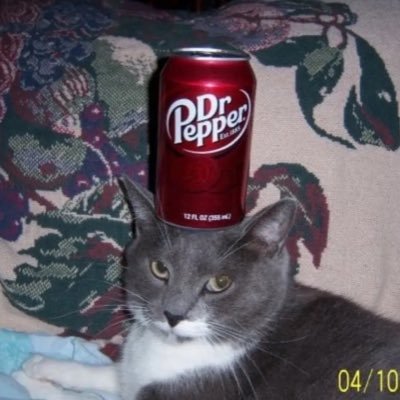 pinkponyclerb's profile picture. 22 • lesbian