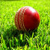 Cricketdad (@criceddad) Twitter profile photo Cricketdad (@criceddad) Twitter profile photo