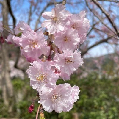 子育て真っ最中で子どもたちと日々親として一緒に成長させてもらってます。 投資も最近初めていろいろ勉強中✍️です。 NFT、NFTゲーム、仮想通貨、株、などをsmall businessからですがやっています。