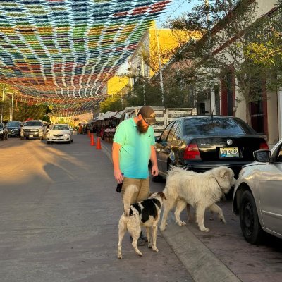 TW8506's profile picture. 37 new sub bottom looking to learn