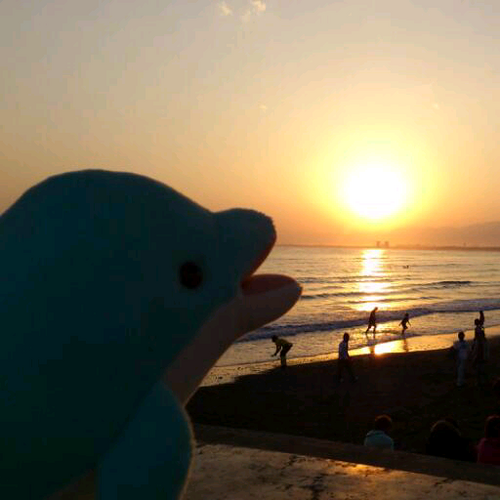 eripon21's profile picture. ３人の子育てしながら、好きなことも出来る限り追いかけたいと欲張る🫡