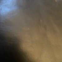 testspafe (@corgicutiesnft) 's Twitter Profile