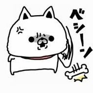 たつキョン (@m8hqxuascmy6als) 's Twitter Profile