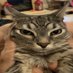 Catarina of Astora (@solstice115) Twitter profile photo Catarina of Astora (@solstice115) Twitter profile photo