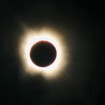 Reese409832's profile picture. 