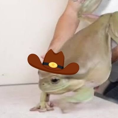 tudo o que você mais teme compilado em um perfil