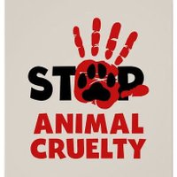 VEGAN Niitin kumar (@niiti31296) 's Twitter Profile Photo VEGAN Niitin kumar (@niiti31296) 's Twitter Profile Photo