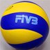 Navid Volleyball Vafaei (@NavidVol) Twitter profile photo