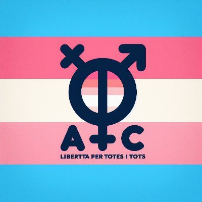 Combatre prejudicis transfòbics de la societat, i aconseguir el respecte total i real a la nostra identitat, dels nostres drets humans