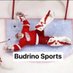 Budrino Sports (@BudrinoSports) Twitter profile photo