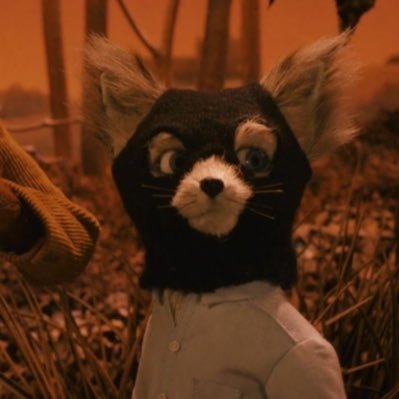 vamfox9's profile picture. زي ما انت شايف هذا حسابي