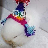 ... (@manosmagicas84) 's Twitter Profile