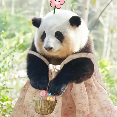 ฟมさんのプロフィール画像