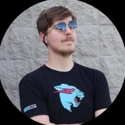 Mrbeast_chat's profile picture. X super official CEO
