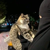 hagar sayed (@hagarsayed61143) 's Twitter Profile