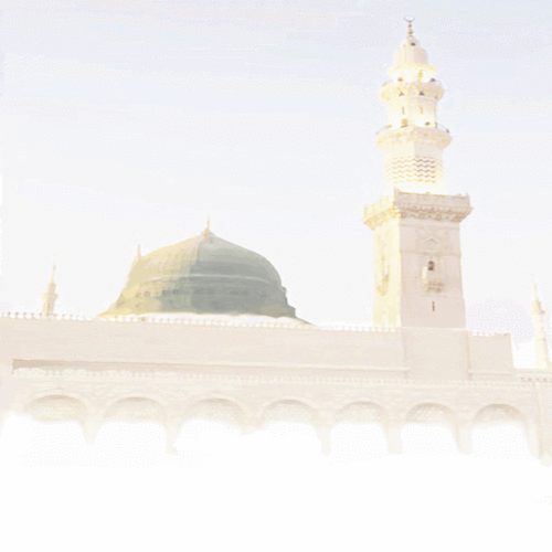 Dawah1Islam's profile picture. #Islam quotes & reminders