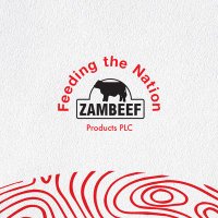 ZAMBEEF (@myzambeef) 's Twitter Profile