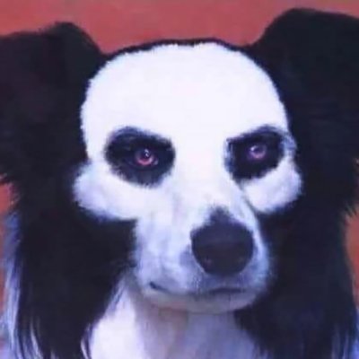 codeseven517206's profile picture. don't follow me, i WILL block you.