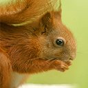 Alan Burch - @stlawrenceiow - Twitter