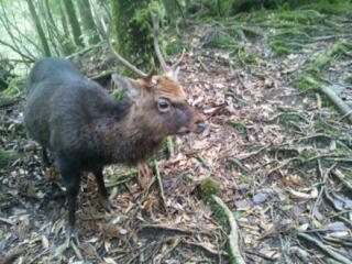 Banbi_NHW's profile picture. 音楽大好き💕 今は、高橋優さんが1番好きです。以前はフェス、ライブもたくさんいきました。(*≧∀≦*)♫