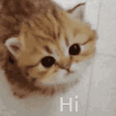 hi :3