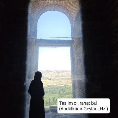 Al-Azhar University(جامعة الازهر) 

                                           Ankara Üniversitesi Arap Dili ve Edebiyatı