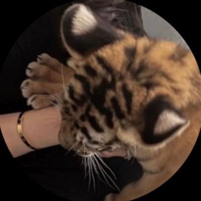 FAY_ilil's profile picture. تألفه، وكأنك كُنت تعرفه طوالَ حياتك.