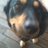 sallymargan's profile image