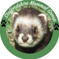 Staffordshire Mammal Group(@Stafmammalgroup) 's Twitter Profile Photo