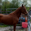 Joyce Houle - @houle_joyc63334 - Twitter