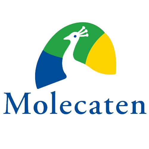 Park_Hoogduin's profile picture. Fantastisch gelegen aan strand en duin! Voor wie uitkijkt naar een vakantie op een camping met zon, zee en strand is Camping Hoogduin de juiste plek. @Molecaten