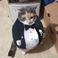 styrsix (@styrsix) 's Twitter Profile