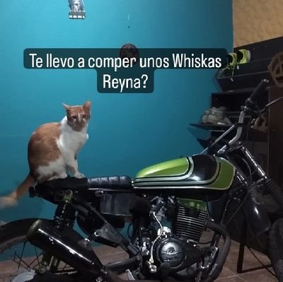@tiago_sua