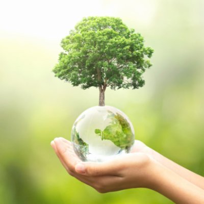 Saving trees equals saving our world.
Let's make the planet happier.
Let's do it together.