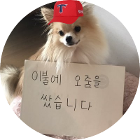 얍얍(@mooyahohoho_) 's Twitter Profile Photo