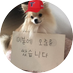 얍얍 (@mooyahohoho_) Twitter profile photo 얍얍 (@mooyahohoho_) Twitter profile photo