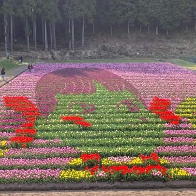 tlPxWfoDYRAFaYD's profile picture. よろしくお願いします
元サービス業現在は特養勤務
難病の子供を育てるお母さんです