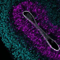 AlbertLab_TUD (@albertlab_tud) 's Twitter Profile Photo