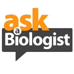 A group of professional biologists and palaeontologists. Most questions are too difficult to answer in 140 chars, so please ask us a question at