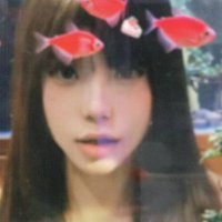 陈飞鱼 (@chenfei21467449) 's Twitter Profile