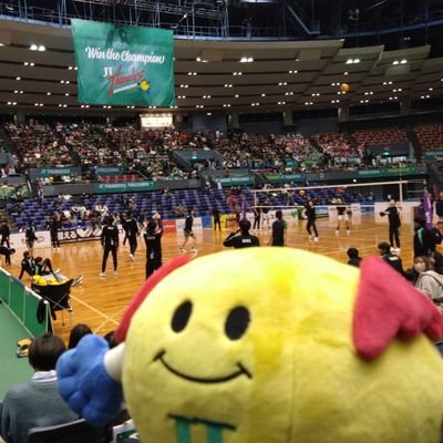 Vリーグ大好き社会人の雑多垢です❗

バレ友募集中です(≧∇≦)/　
JTサンダーズ広島⚡#7⚡#11/ウルフドッグス名古屋🐺🐶#12/東レアローズ🏹#18/サントリーサンバーズ🦅#1/VC長野トライデンツ🔱#17/ジェイテクトSTINGS🐝#4/東京グレートベアーズ🐻#25/