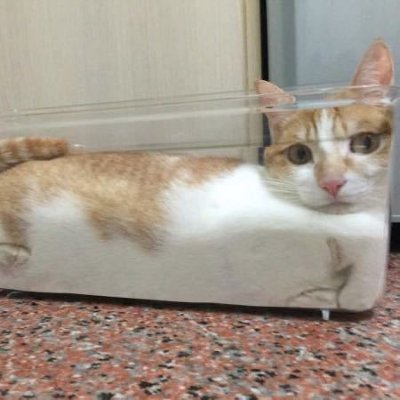 ld231351's profile picture. vertical vertical vertical.