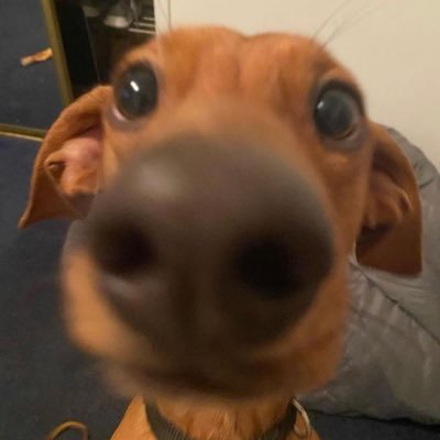 Ramo__030's profile picture. 행복할테니 행복하세요