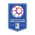دوري أدنوك للمحترفين (@uaeproleague) Twitter profile photo دوري أدنوك للمحترفين (@uaeproleague) Twitter profile photo